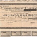 CONSORZIO AGRARIO COOPERATIVO DELLA PROVINCIA DI NOVARA E LOMELLINA-2