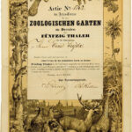 Actien-Verein für den zoologischen Garten zu Dresden-1