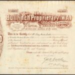 Bullfinch Proprietary (W.A.) Limited-1