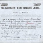 Capitalists’ Mining Syndicate Ltd-1