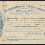 Carrington Gold Mining Company Ltd-1