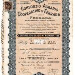 Consorzio Agrario Cooperativo di Ferrara-3