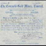Consuelo Gold Mines Ltd-1