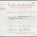 Dixie Gold Mine, Ltd-1