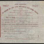 Durham and Lord Byron Amalgamated Gold Mining Company Ltd-1