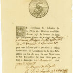 Pêche des Baleines-1