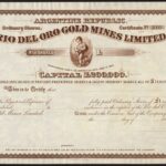 Rio Del Oro Gold Mines Limited-1