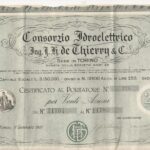 CONSORZIO IDROELETTRICO ING. J.H. DE THIERRY & C.-2