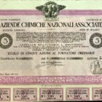 Aziende Chimiche Nazionali Associate-2