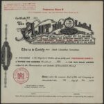 Ajit Mills Limited-3