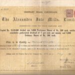 Alexandra Jute Mills Limited-1