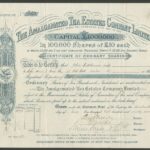 Amalgamated Tea Estates Company Limited-1