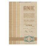 Anic S.p.A.-13