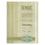 Anic S.p.A.-17