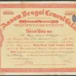 Assam Bengal Cement Co. Ltd.-2