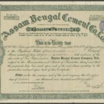 Assam Bengal Cement Co. Ltd.-1