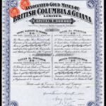 Associated Gold Mines of British Columbia and Guiana Ltd-1