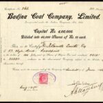 Badjna Coal Company Limited-1