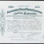 Balaghât Gold Mines Ltd-2