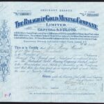 Balaghât Gold Mining Company Ltd-1