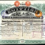 Egyptian Salt and Soda Company Ltd-1