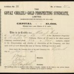 Goyaz (Brazil) Gold Prospecting Syndicate Ltd-1