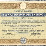 Sanatorio Montenegro S.A.-1