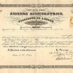 Azienda Assicuratrice Imp. Reg. Priv.-1