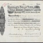 Hannan’s Belle View Gold Mining Company Ltd-1