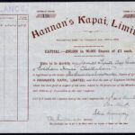 Hannan’s Kapai Ltd-1