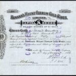 Hannan’s Mount Ferrum Gold Mines Ltd-1