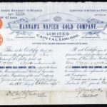 Hannan’s Napier Gold Company Ltd-2