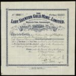 Lady Shenton Gold Mine Ltd-1