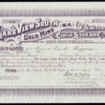 Lake View South Gold Mine (W A) Ltd-1