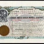 Lucky Boys Gold Mines Limited-1