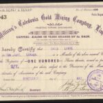 Millican’s Caledonia Gold Mining Company Limited-1