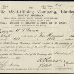 Morganite Gold-Mining Company Limited-1