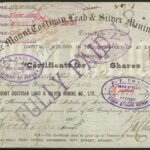 Mount Costigan Lead & Silver Mining Company Limited-2