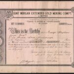 Mount Morgan Extended Gold Mining Company Ltd-1