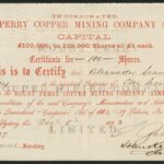 Mount Perry Copper Mining Company Limited-1