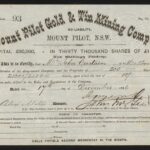 Mount Pilot Gold & Tin Mining Company NL-1