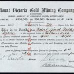 Mount Victoria Gold Mining Company Limited-1