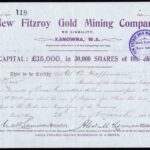 New Fitzroy Gold Mining Company NL-1