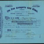 New Goongarrie Gold Mines Ltd-1