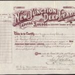 New Junction Deep Leads, Ltd-1