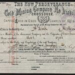 New Perseverance Gold Mining Company NL-1