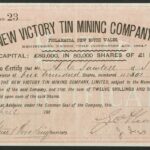 New Victory Tin Mining Company Limited-1
