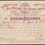 New Welcome Gold Mining Company NL-1