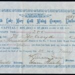 No. 7 South Lady Mary Gold Mining Company Limited-1