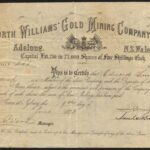 North Williams’ Gold Mining Company Limited-1